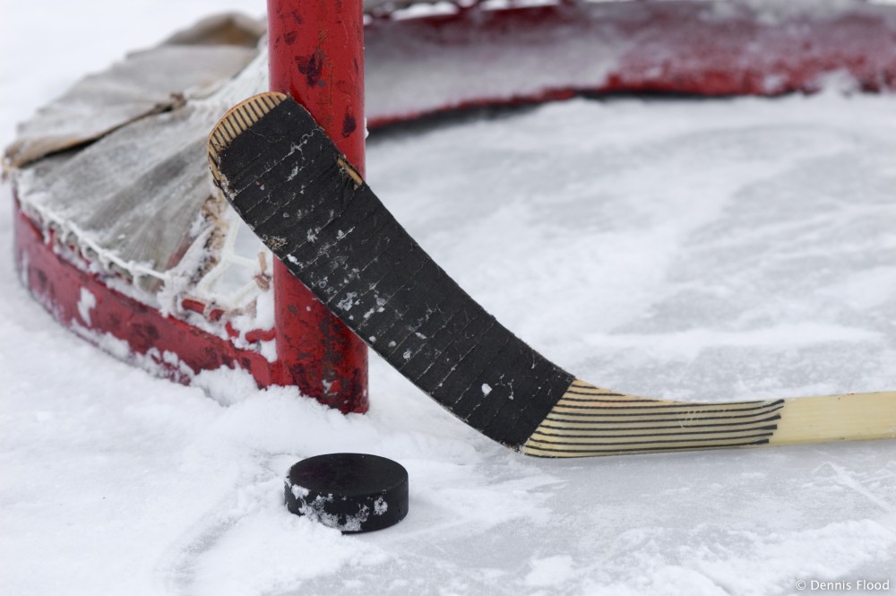 ice hockey betting guide